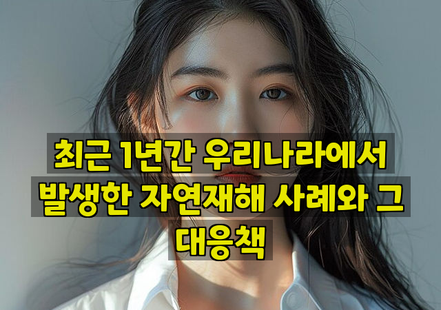 최근 1년간 우리나라에서 발생한 자연재해 사례와 그 대응책